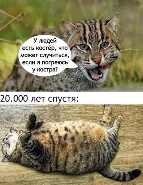 Картинки и мемы 08.10.2021