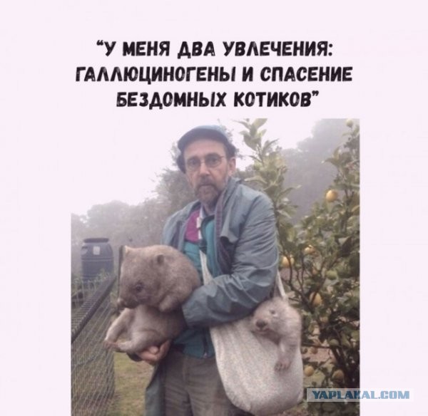 Прикольные и просто красивые картинки 12.10.2021