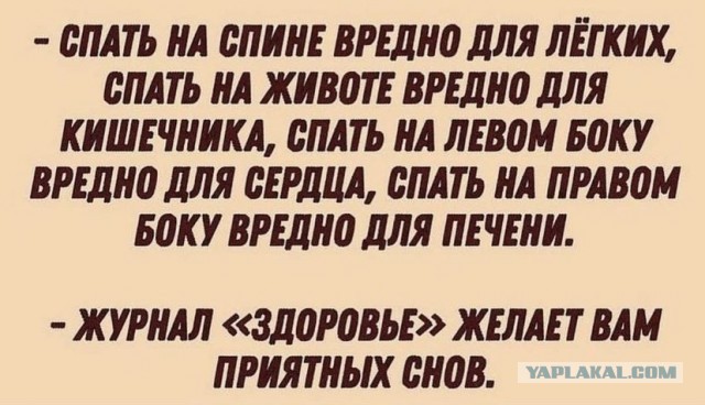 Весёлый полтишок 14.11