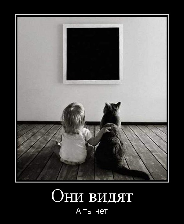 ТруЪ демотиваторы