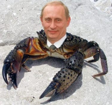 Нашёл краба возрастом 12 миллионов лет