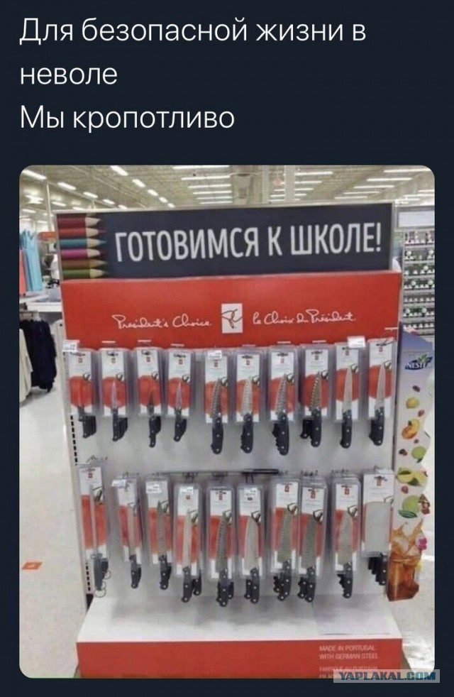 Картинки. 12.03.22