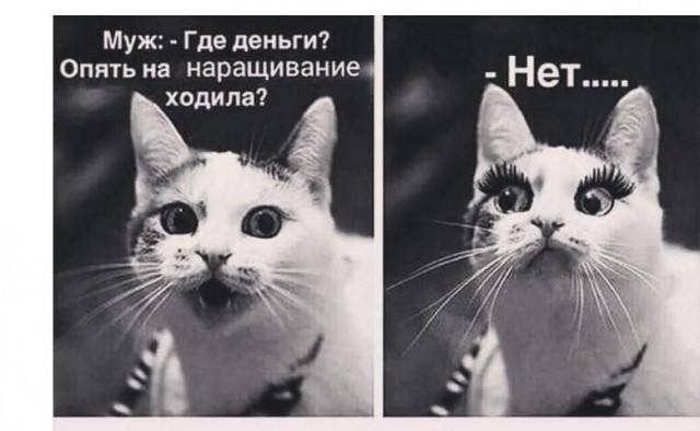 Немного картинок."Колбасный ветер". Август