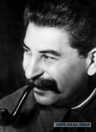Чинуши начали аккуратно прощупывать почву на предмет отмены бесплатного школьного образования