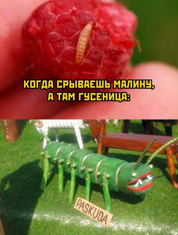 Картинки и мемы для настроения - 181