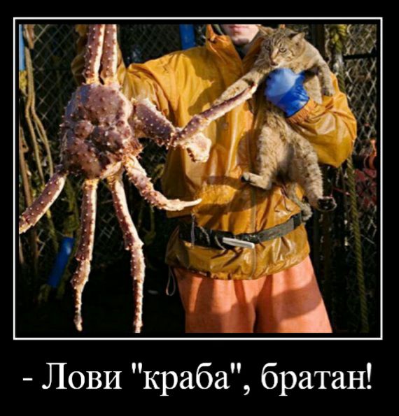 Ловим краба
