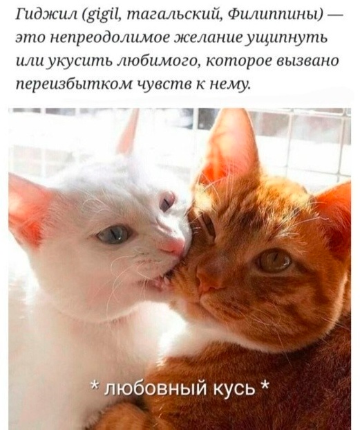 Так себе картинки 27.08.23