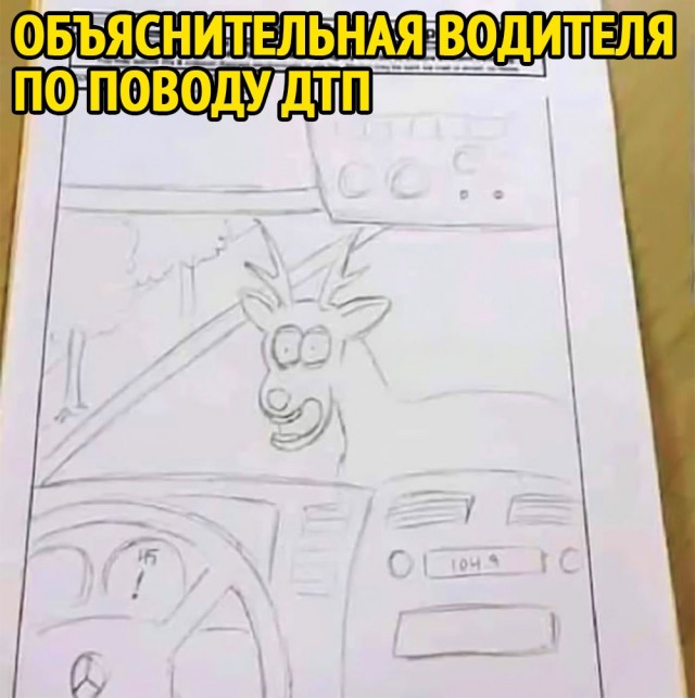 Охота на оленя в США