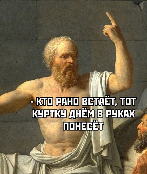 Весёлый полтишок 20.05.24