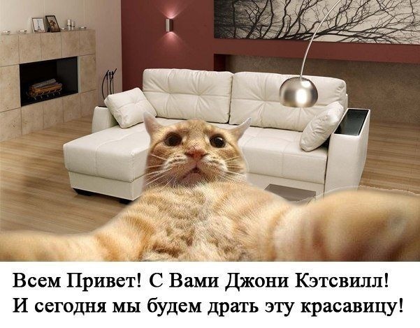 Когда батя присылает свои фотографии с дачи