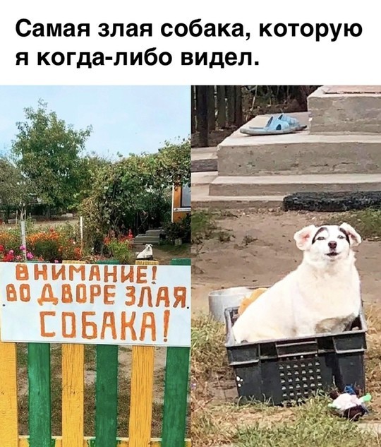 Всего понемногу. От 17.01.2025