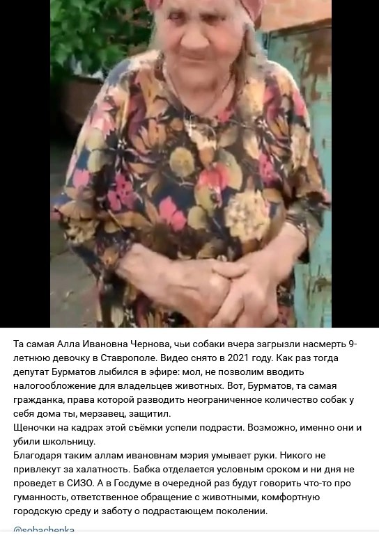Очередная жертва бродячих собак