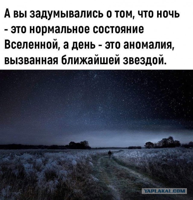 Весёлый полтишок 25.03.25