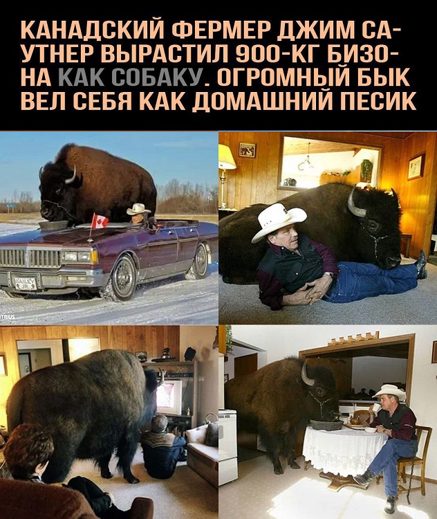 Картинки разные с надписями и без