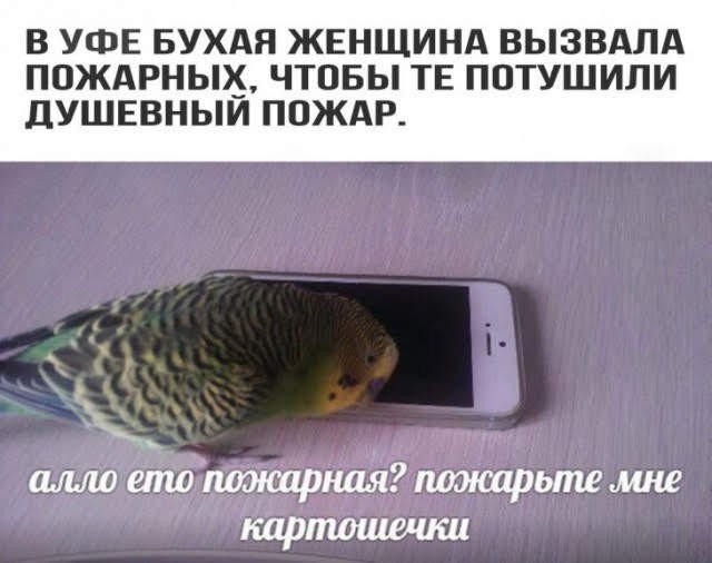 Нуштош 06.05.2025. Старая реальность (s3e12)