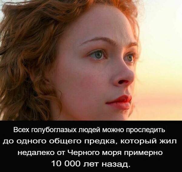 Чехи возмутились, что в учебниках их предки - украинцы