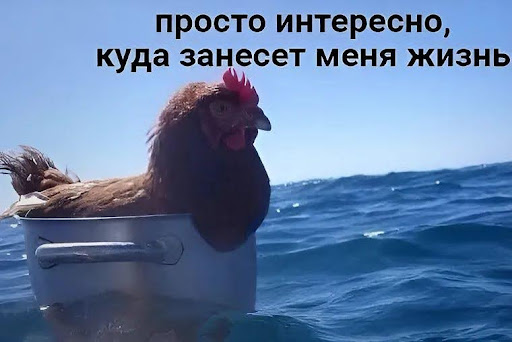 Новые возможности для наших с вами путешествий