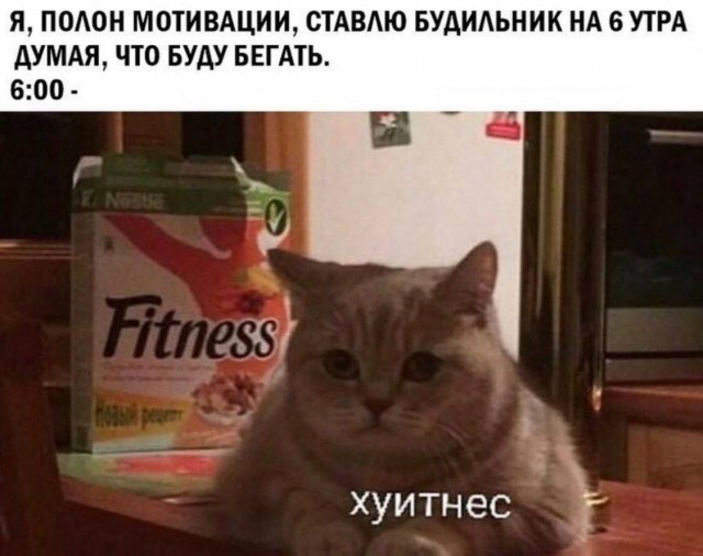 К котовторнику: подборка картинок-баянов с котиками и про котиков. Выпуск 19.