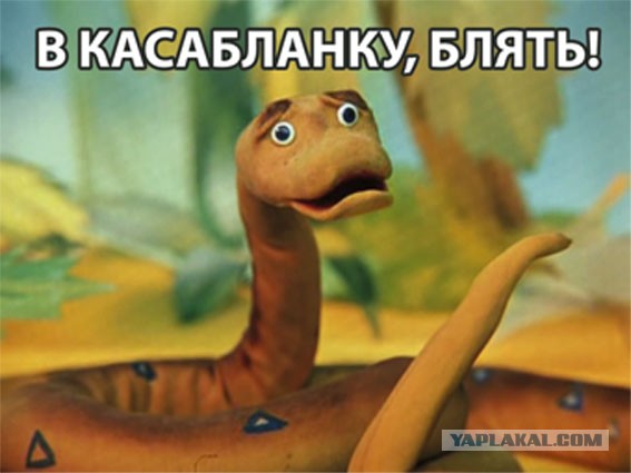 Давно так не ржал..........