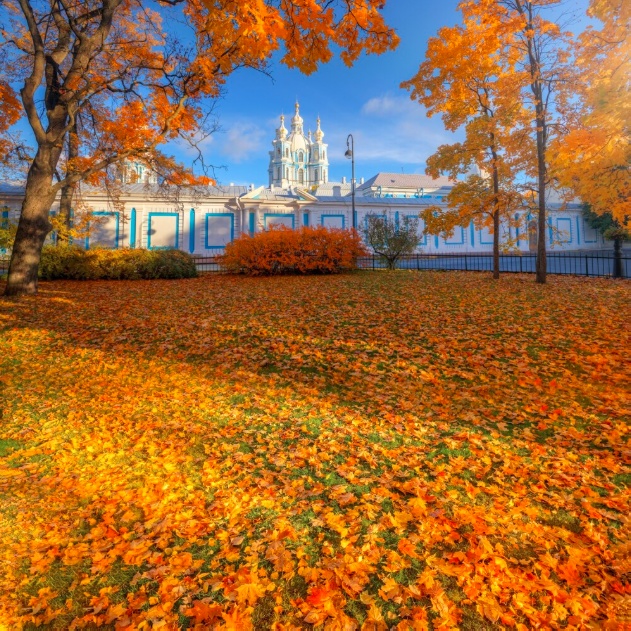 Красивые картинки