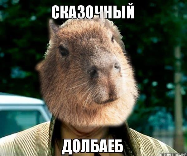Мединский признался, что долго считал капибару игрушкой