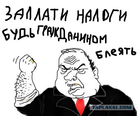 Покупатель квартиры Долиной заплатила налог на имущество