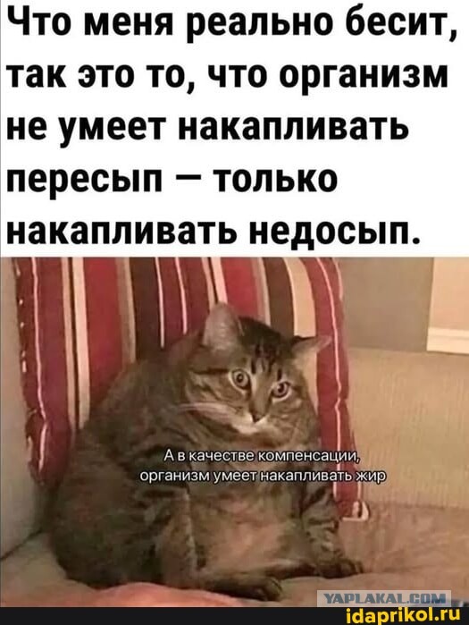 Картинки для деградации 101 (разной степени свежести)