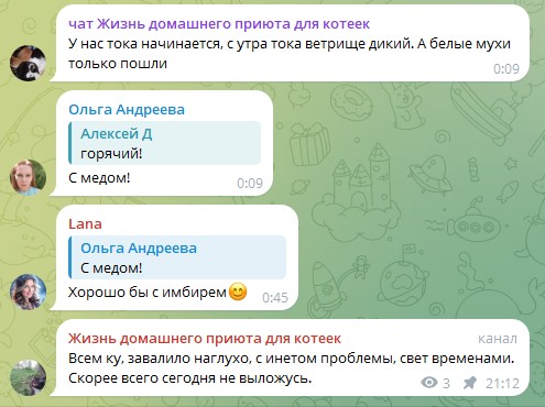 Жизнь домашнего приюта для котеек 568