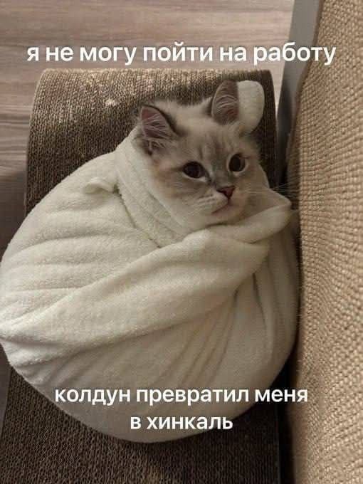 Картинки для деградации 152 (разной степени свежести)