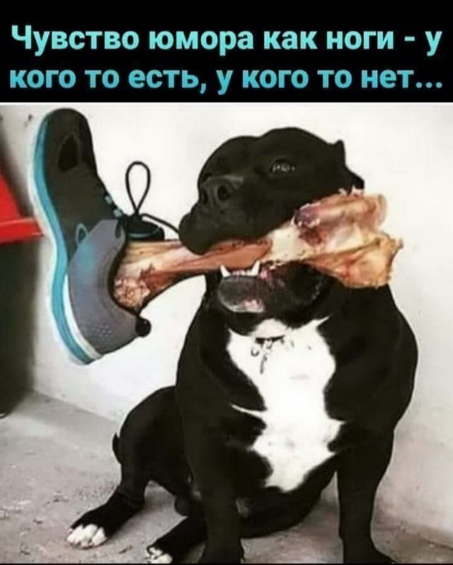 Картинки для деградации 174 (разной степени свежести)