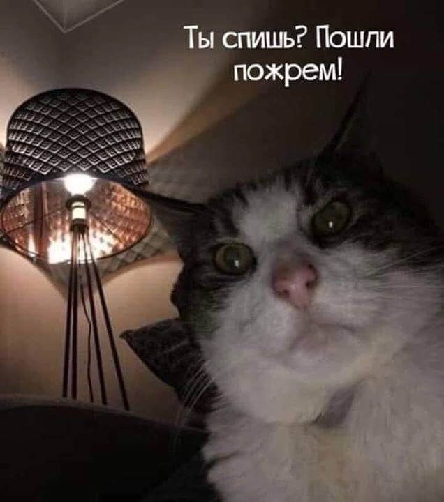Зря вы сейчас не спите, утром вам это не понравится