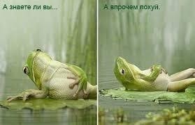 Действительно...⁠