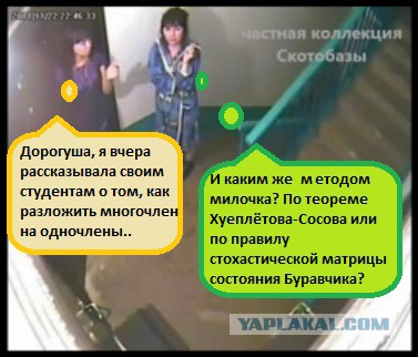 Что делают соседи, пока тебя нет дома