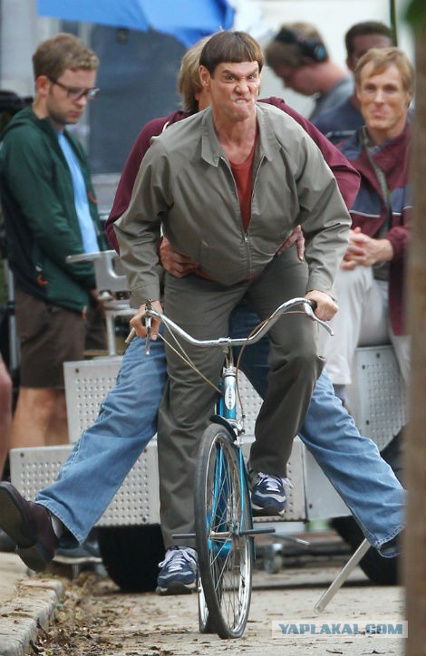 "Тупой и еще тупее": 20 лет спустя