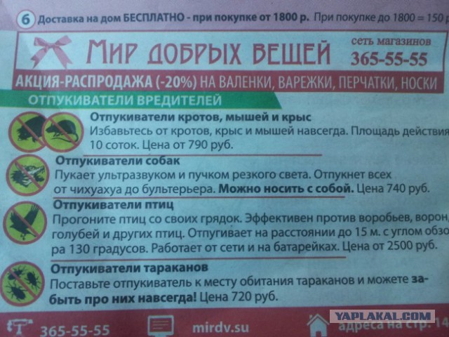 Маразмы месяца