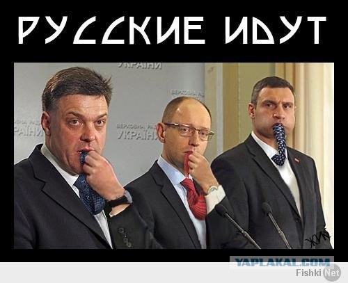 Ю. Тимошенко обратилась за помошью к Европе