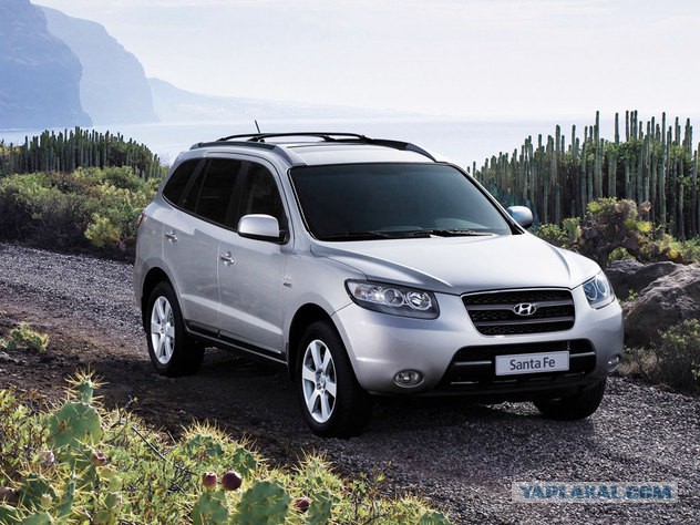 Выбор китайского паркетника