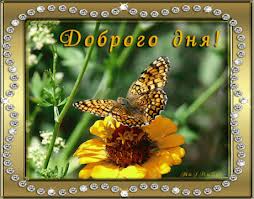 Добряки, плюсующие всех подряд