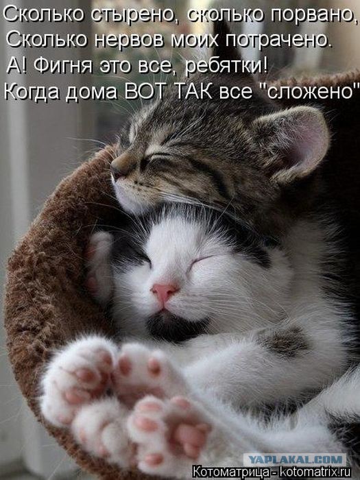 Чёрт, чёрт, чёрт!