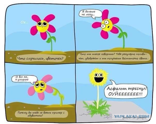 Жажда жизни...