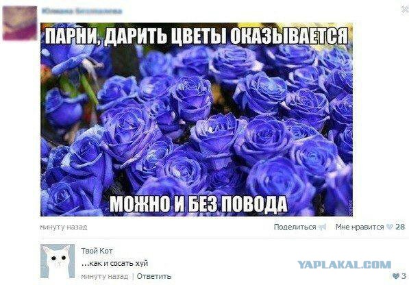 Смешные комментарии из социальных сетей