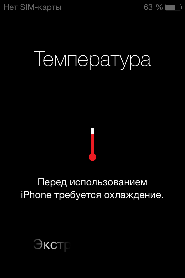 Последнее фото с Вашего телефона.