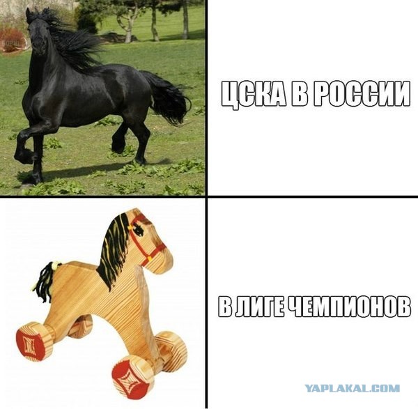 Спорт с улыбкой, интересности в сети