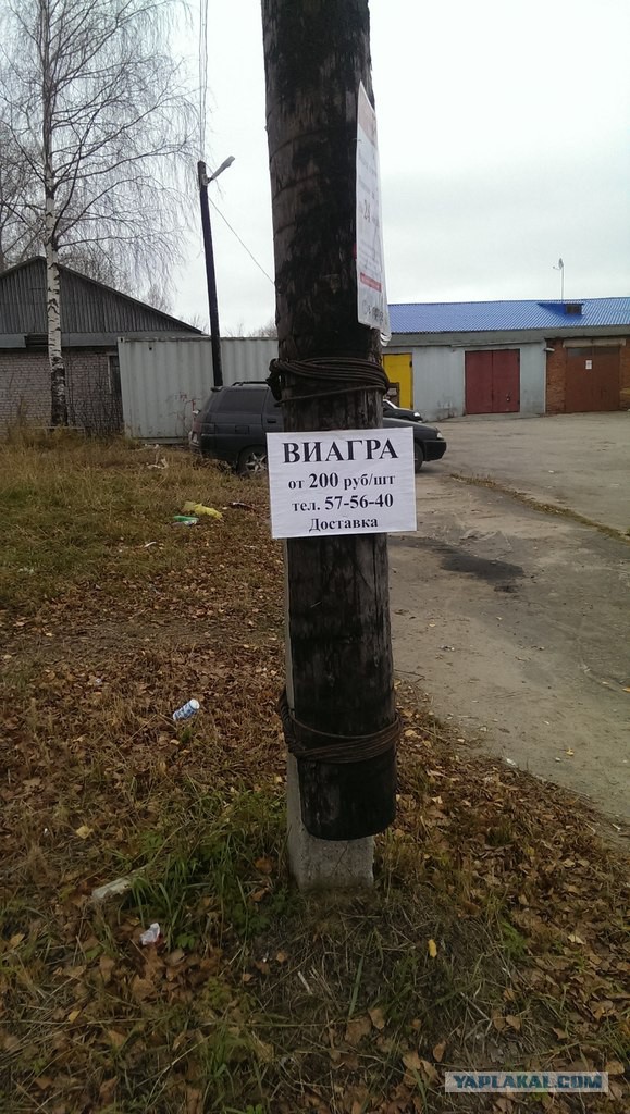 Смешное из сети #2