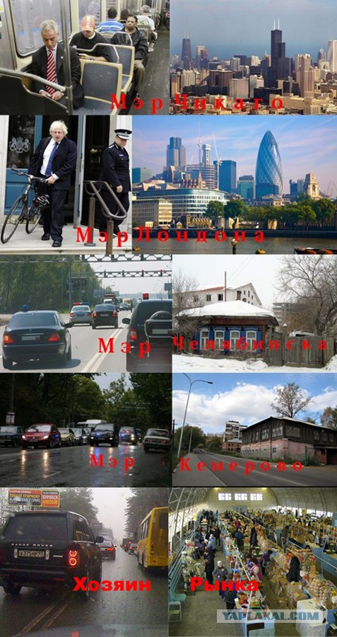 Сравните