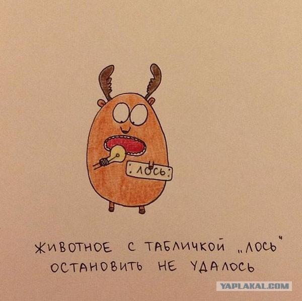 Весёлое из сети