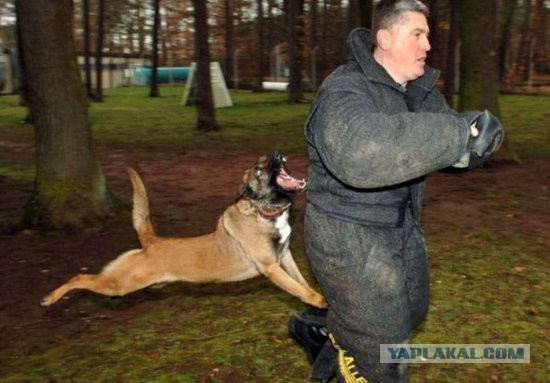 Потрясающие удачные кадры