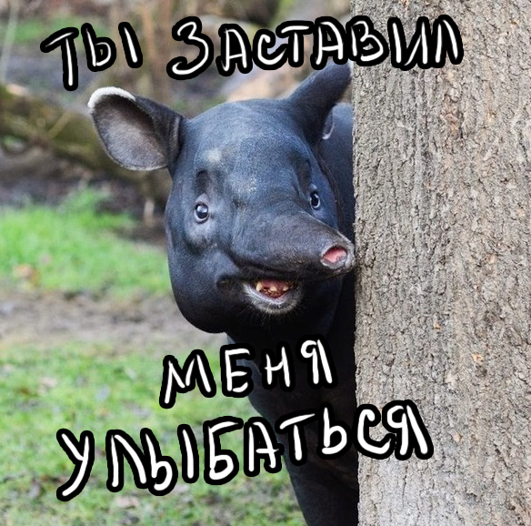 Женский позор (с форумов)