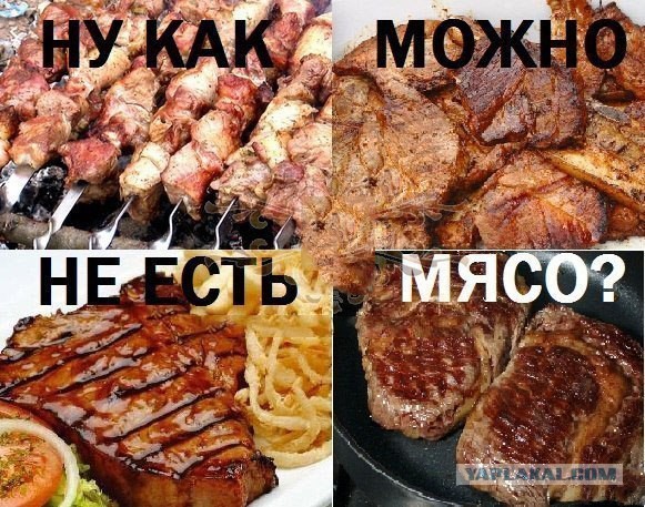 Рубрика "Исторические факты от вегетрианцев"
