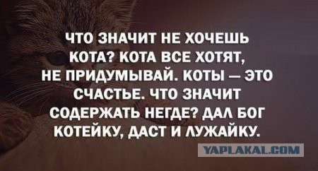Подборка картинок из ВК